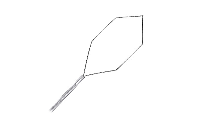 Disposable Polypectomy Snare---hexagon