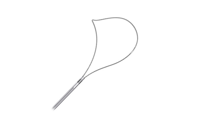 Disposable Polypectomy Snare---crescent