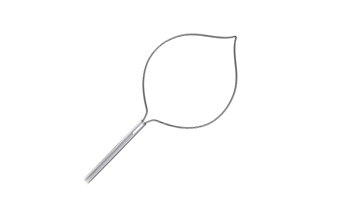 Disposable Polypectomy Snare---oval