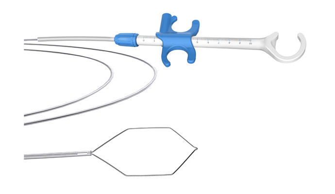 Disposable Polypectomy Snare---hexagon