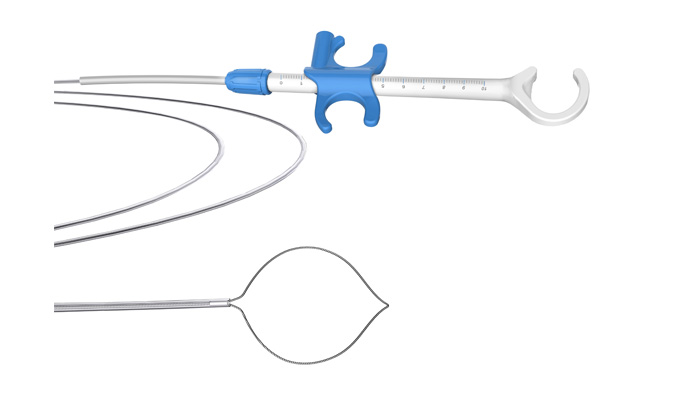 Disposable Polypectomy Snare---oval
